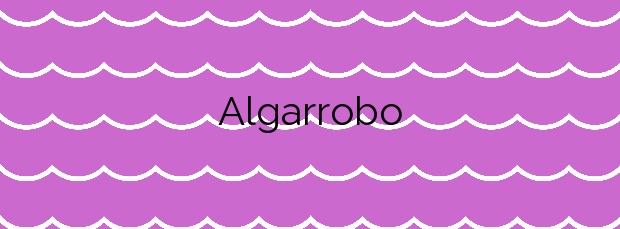 Información de la Playa Algarrobo en Algarrobo