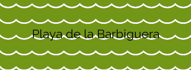 Información de la Playa de la Barbiguera en Vinaròs