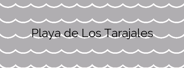 Información de la Playa de Los Tarajales en Arona