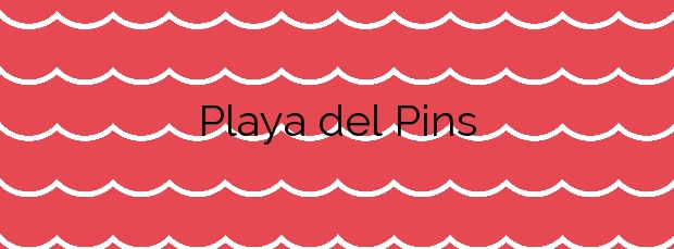 Información de la Playa del Pins en Pineda de Mar