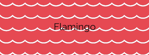 Información de la Playa Flamingo en Yaiza