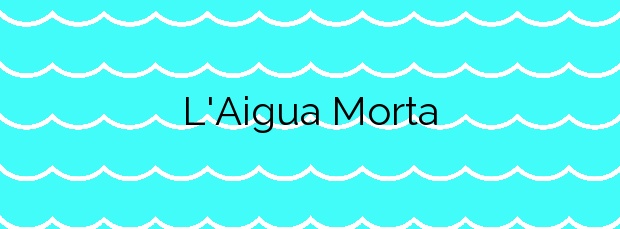 Información de la Playa L’Aigua Morta en Oliva