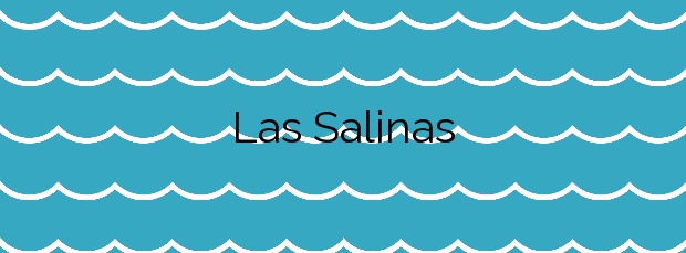 Información de la Playa Las Salinas en Roquetas de Mar