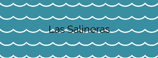 Información de la Playa Las Salineras en Villa de Mazo