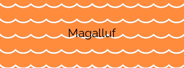 Información de la Playa Magalluf en Calvià