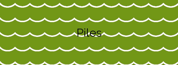 Información de la Playa Piles en Piles