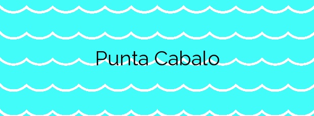 Información de la Playa Punta Cabalo en Vilaboa