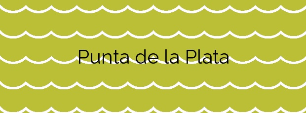 Información de la Playa Punta de la Plata en Estepona