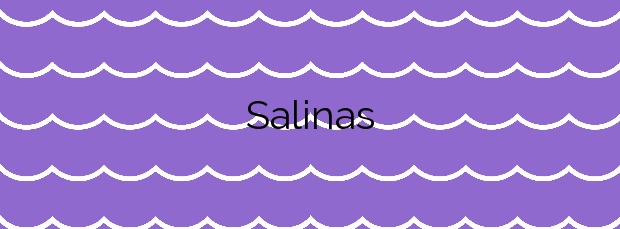 Información de la Playa Salinas en A Illa de Arousa