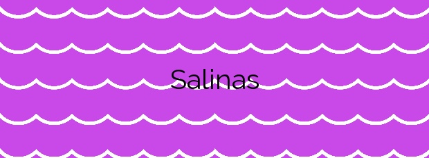 Información de la Playa Salinas en Castrillón