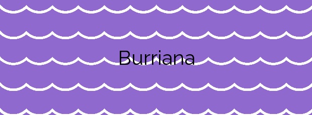 Información de la Playa Burriana en Nerja