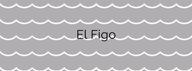 Información de la Playa El Figo en Tapia de Casariego