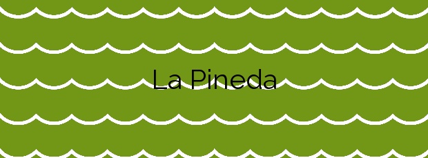 Información de la Playa La Pineda en Vila-seca