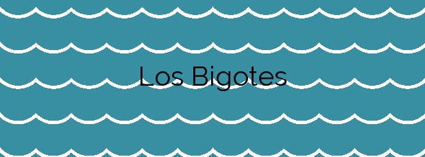 Información de la Playa Los Bigotes en San Bartolomé de Tirajana